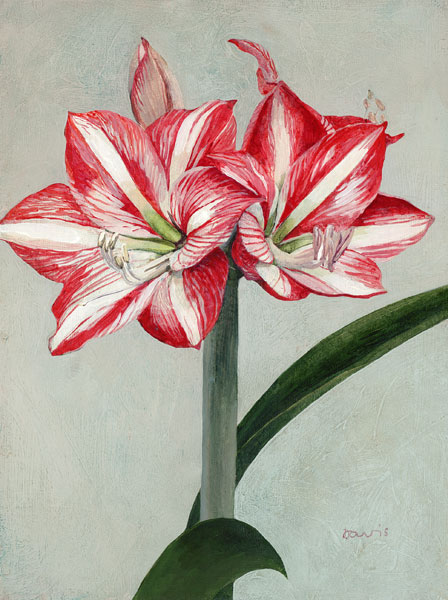 Two More Lillies - Painting Archive | Graham Davis Paintings