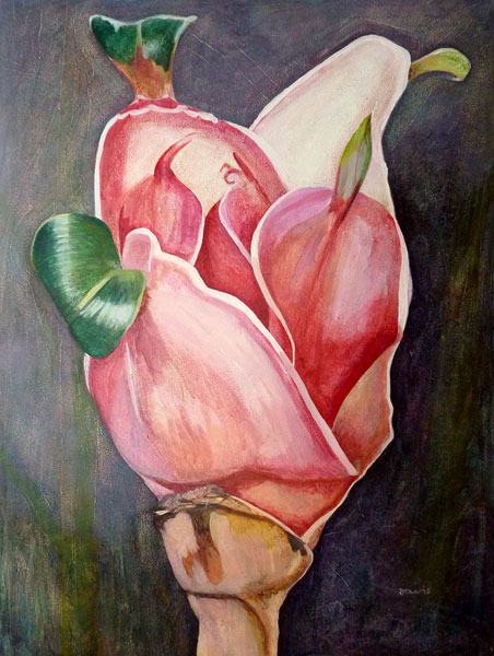 Pink Flower - Painting Archives | Graham Davis Painting