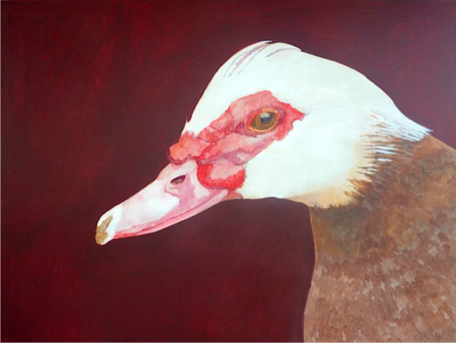 Duck | Graham Davis Paintings