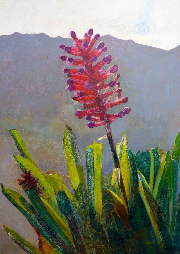 An Exploding Bromeliad - Painting Archive | Graham Davis Paintings