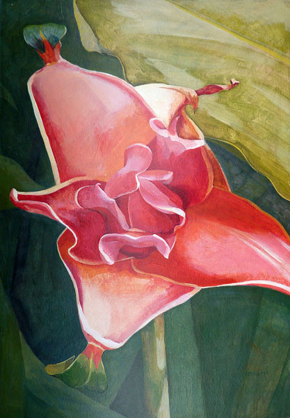 Golden Springs Flower | Graham Davis Paintings