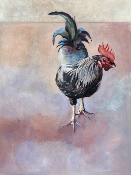 Rooster with the roving eye - Painting Archive | Graham Davis Paintings