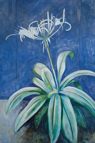 Spider Lily Lurking - Painting Archive | Graham Davis Paintings