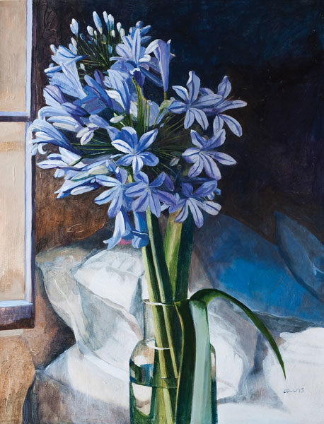 The Joy of Agapanthus - Painting Archive | Graham Davis Paintings