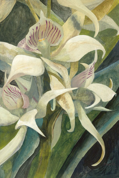 Wild Orchid | Graham Davis Paintings